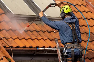 Démoussage et hydrofuge de toiture à Riverie